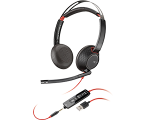 cat4_buyg-headsets_HGVBD.png